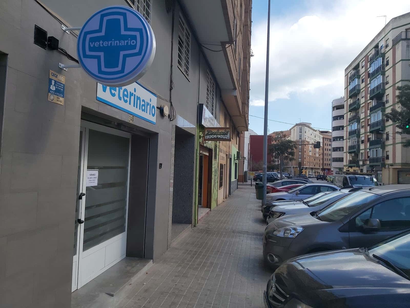 veterinario