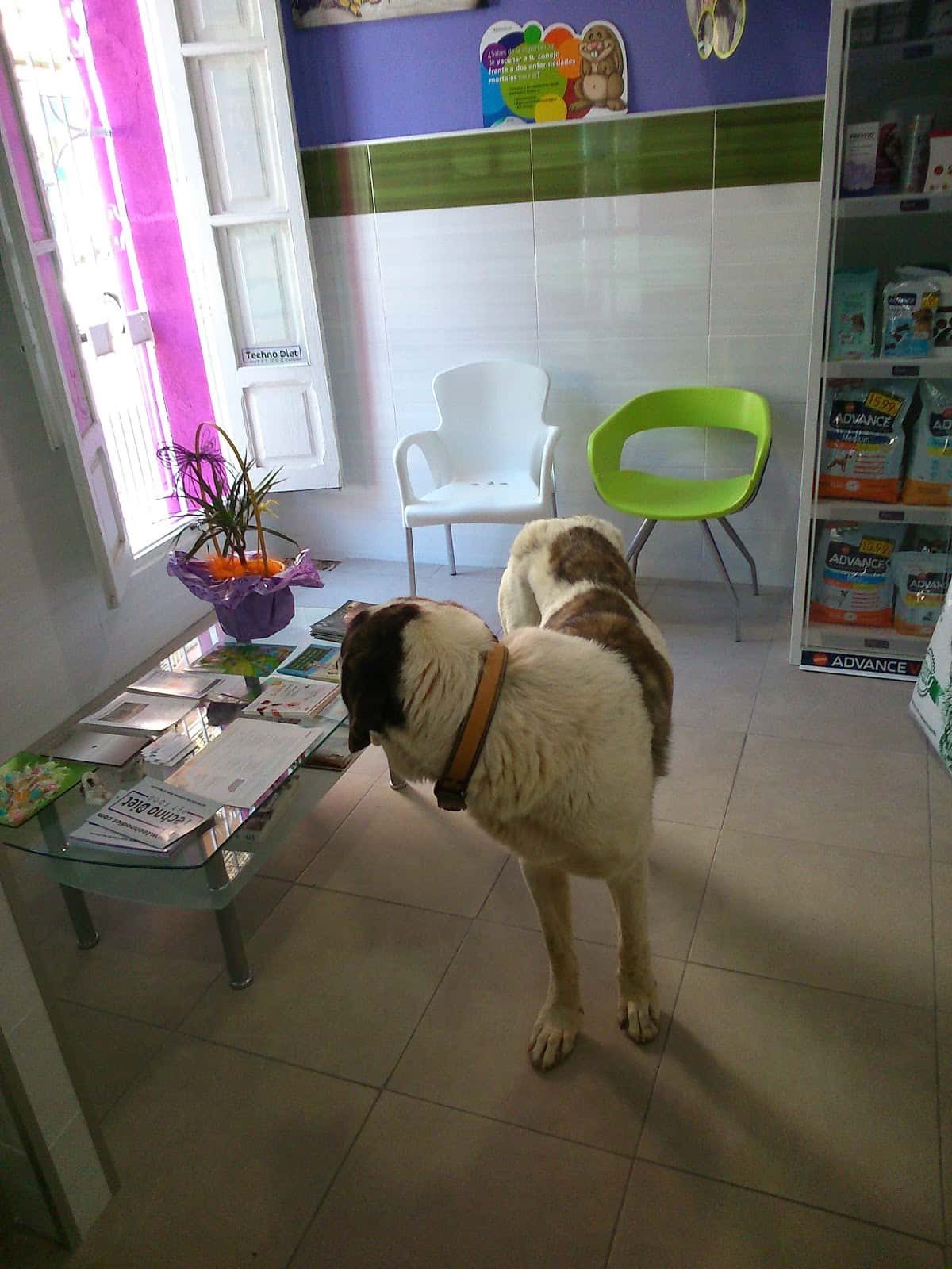 Centro Veterinario La Unión