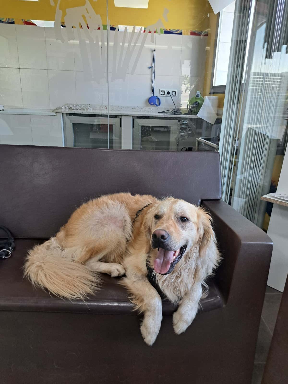 Clínica Veterinaria Olucha
