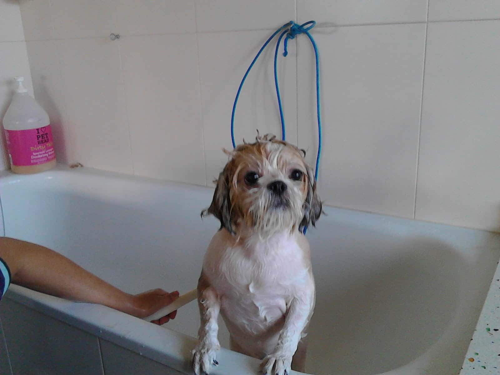 Clínica Veterinaria Olucha