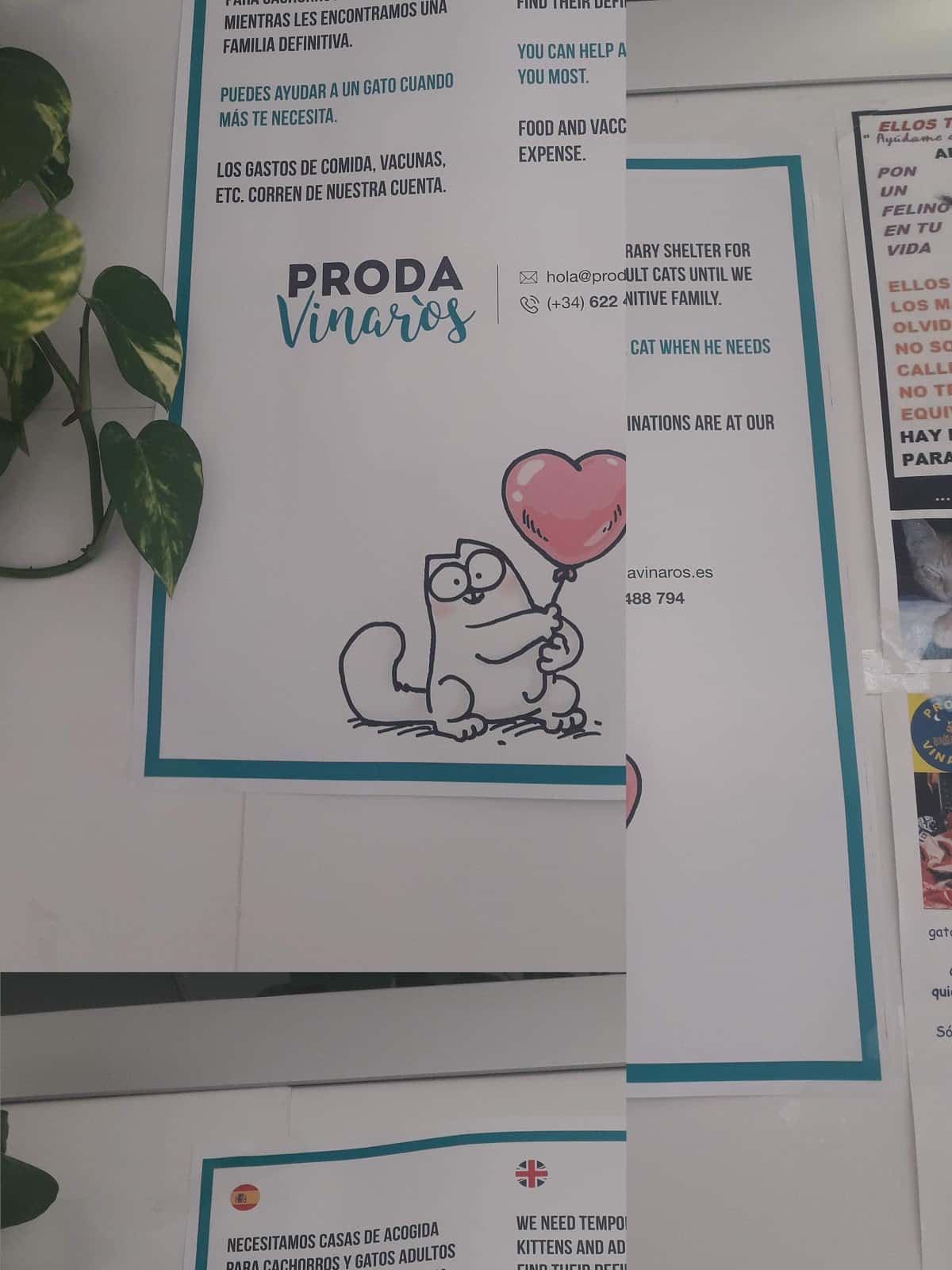 Clínica Veterinaria Vinarós