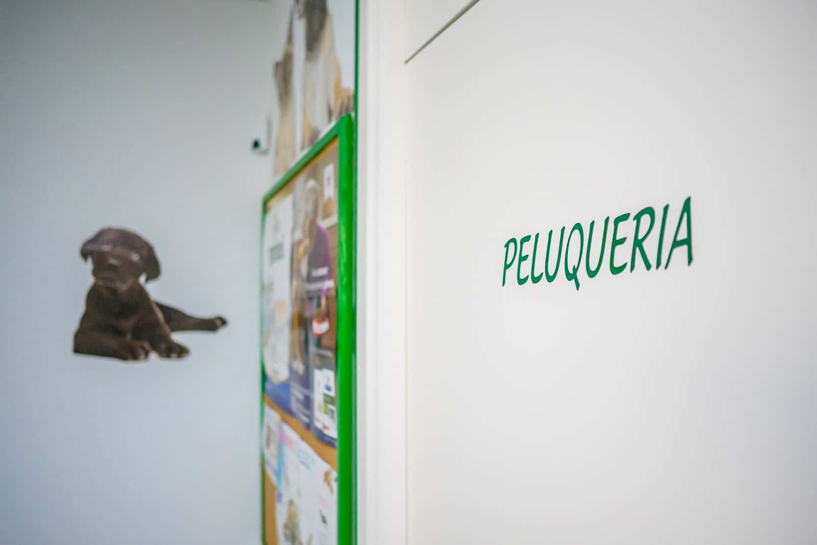 Clinica Veterinaria Sant Antoni en Benicarló