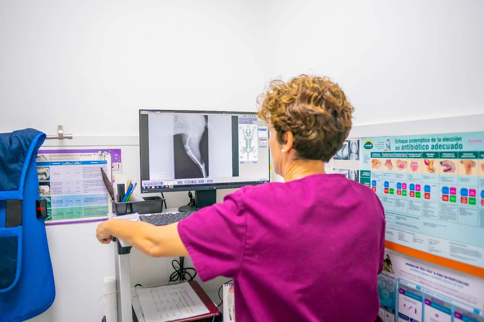 Clinica Veterinaria Sant Antoni en Benicarló