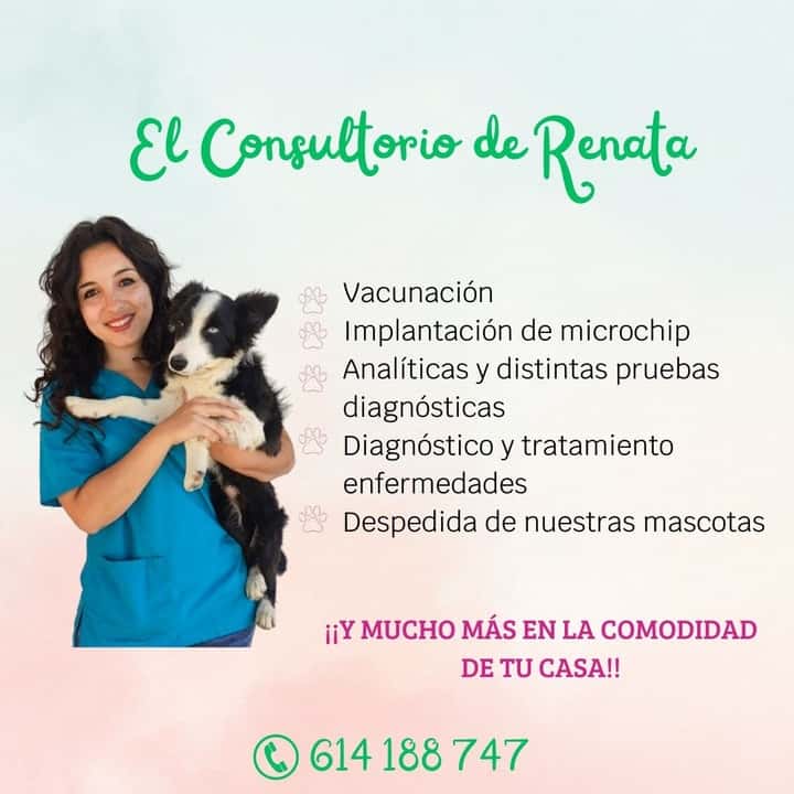 El Consultorio de Renata