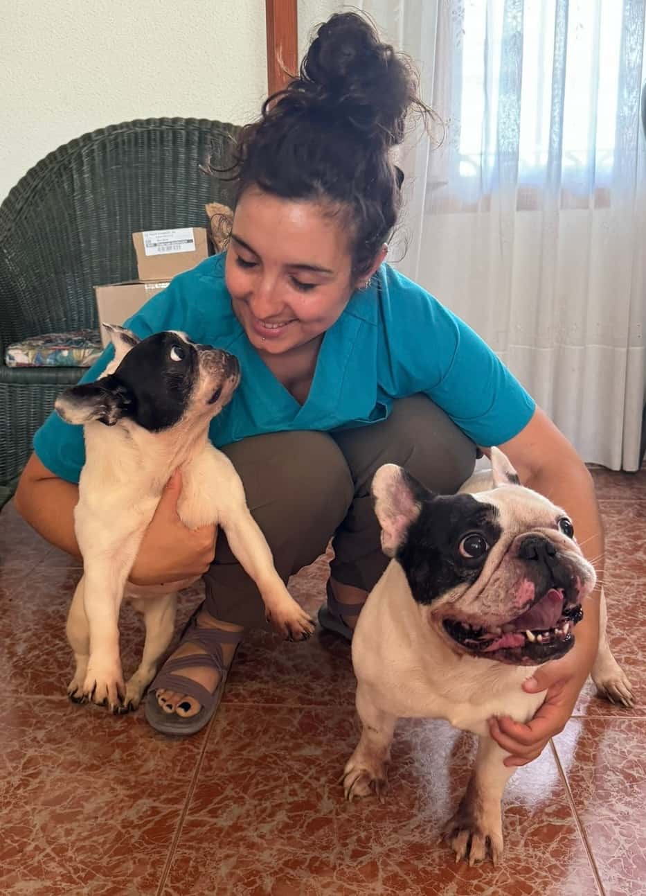 el consultorio de renata veterinario centro en vinaros en castello principalImage ADOPTA Sitios Pet Friendly