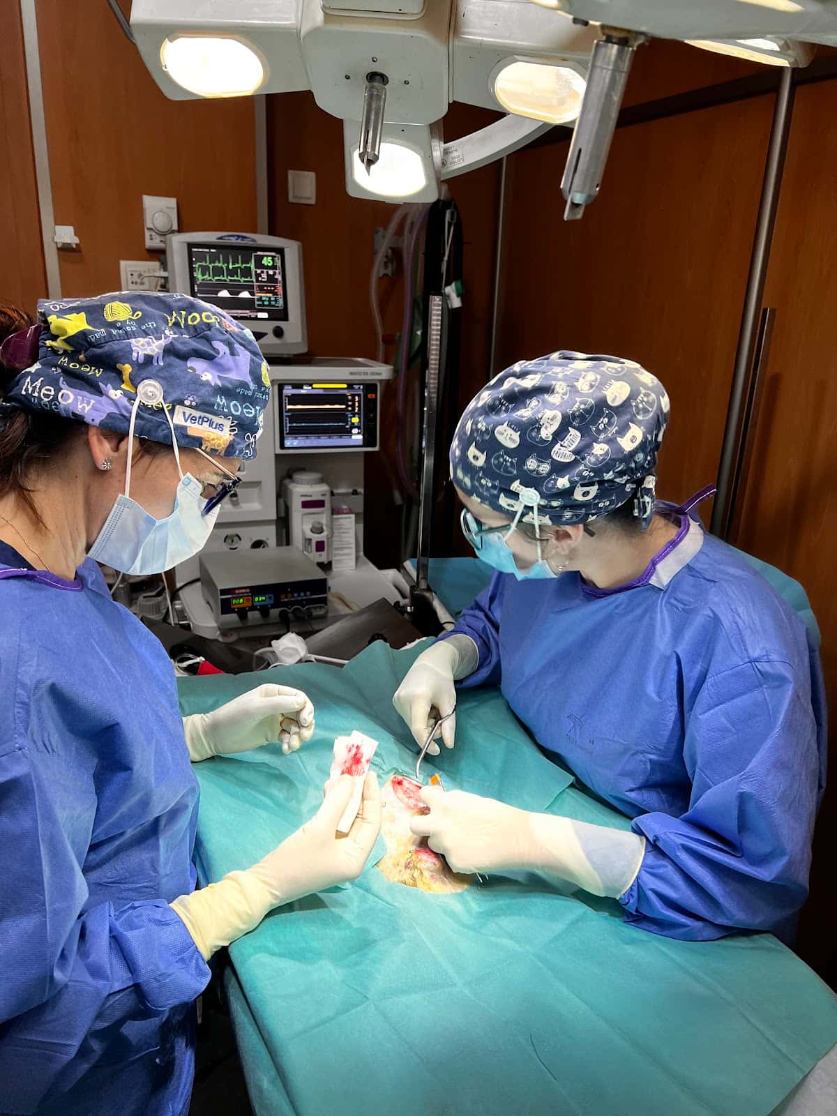 Hospital Veterinario San Francisco Vinaròs