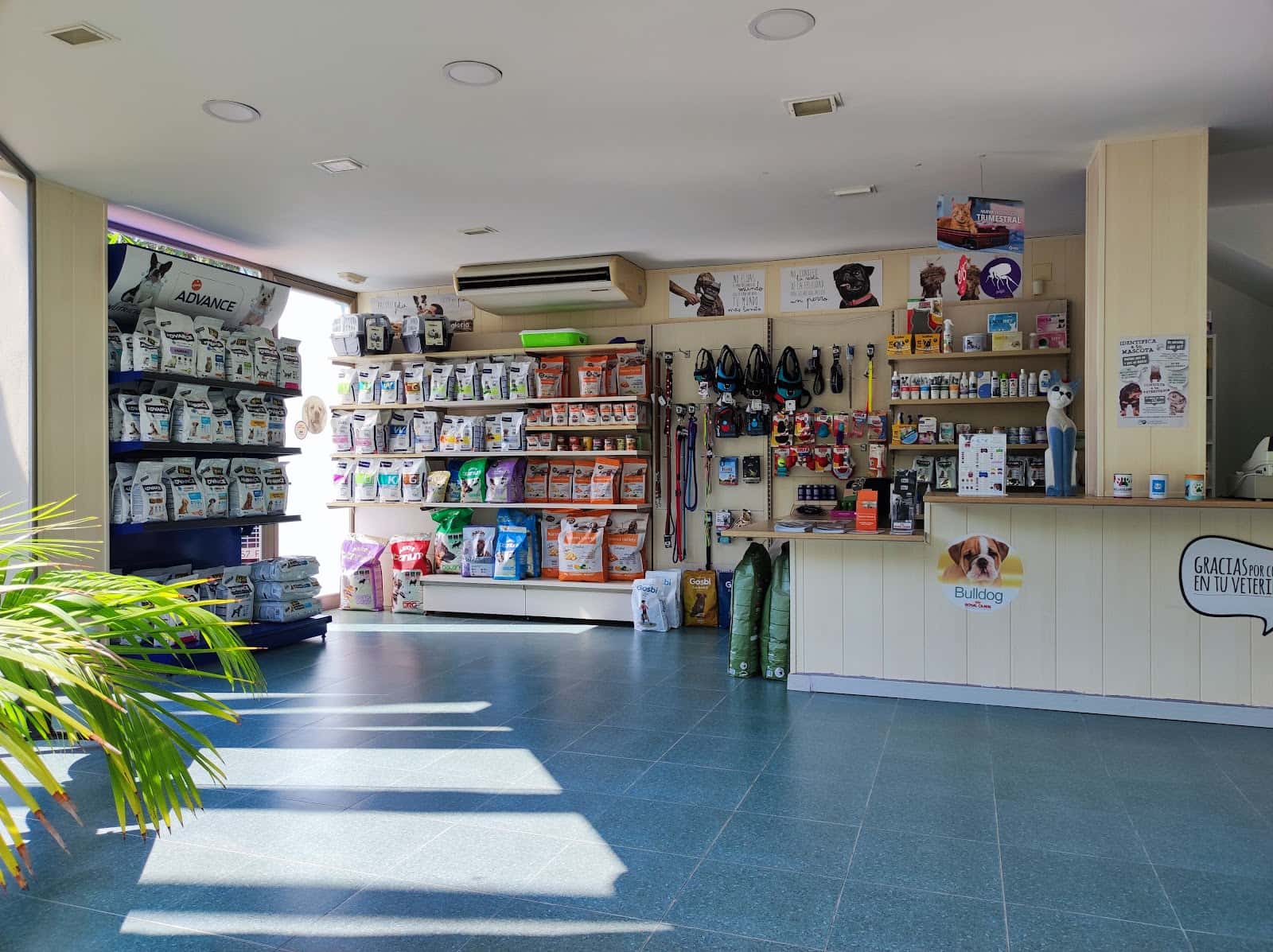Clinica Veterinaria Papa Luna