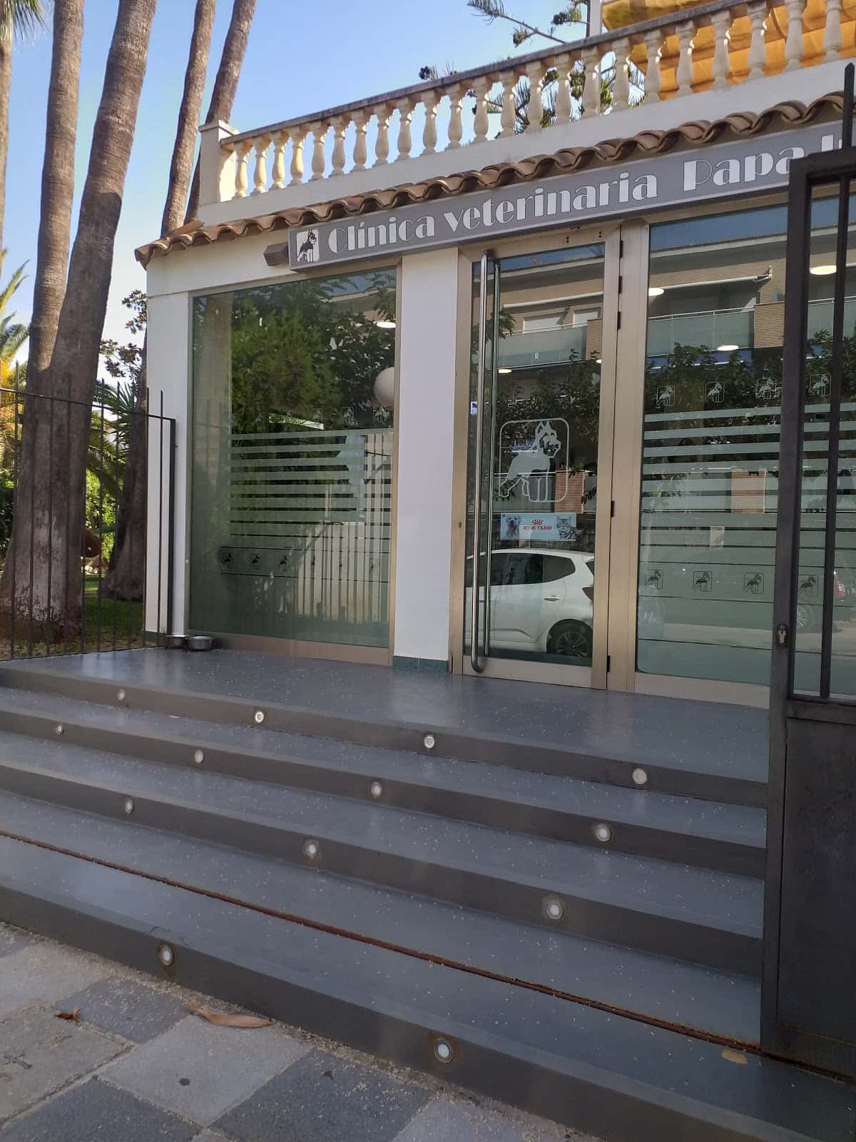 clinica veterinaria papa luna veterinario clinica en benicarlo en castello principalImage ADOPTA Sitios Pet Friendly