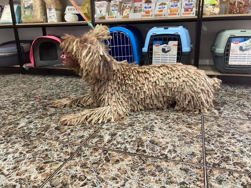 Clinica Veterinaria María Pardo