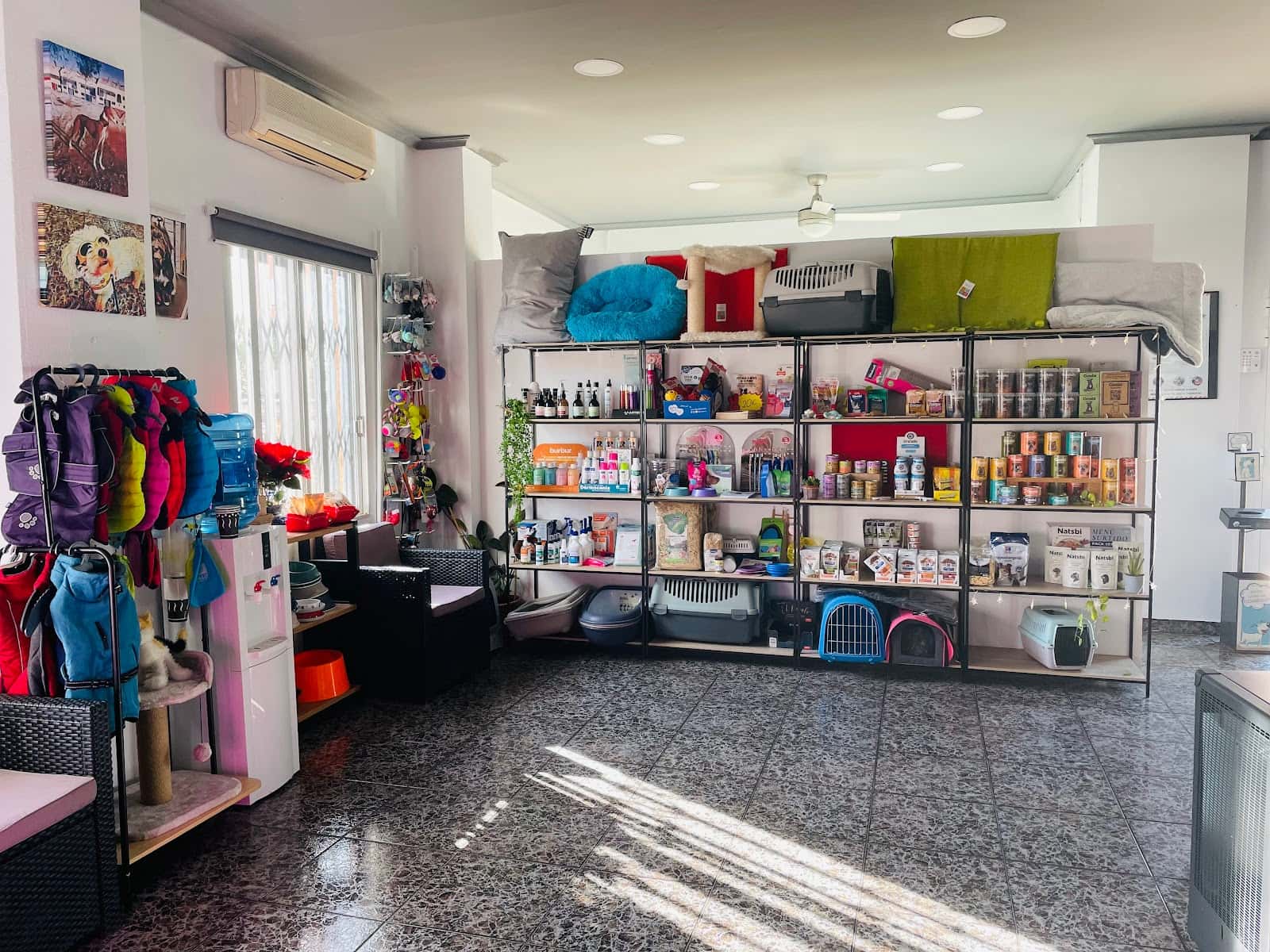 clinica veterinaria maria pardo veterinario clinica en benicassim en castello principalImage ADOPTA Sitios Pet Friendly