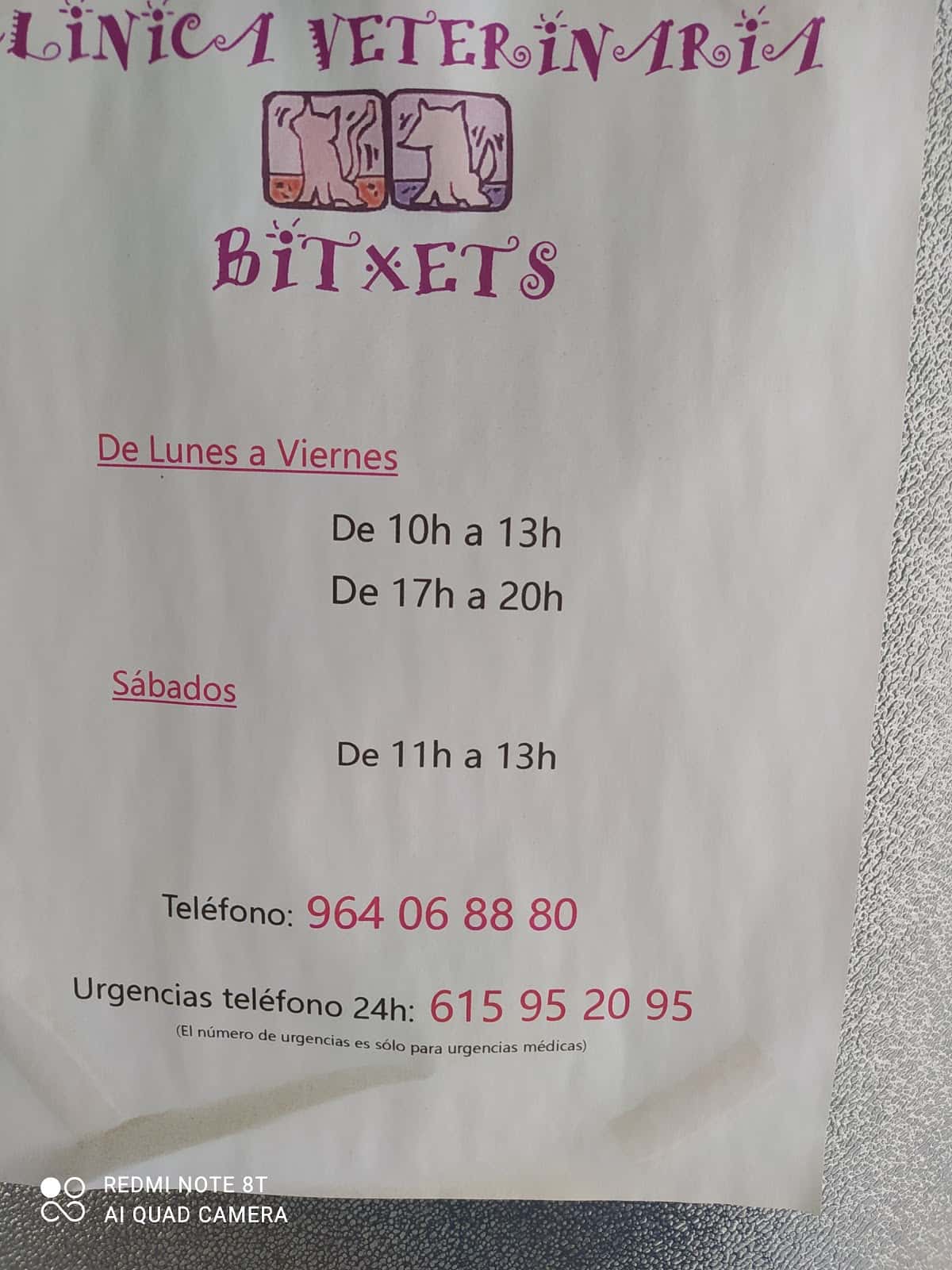 Consulta Veterinaria Bitxets