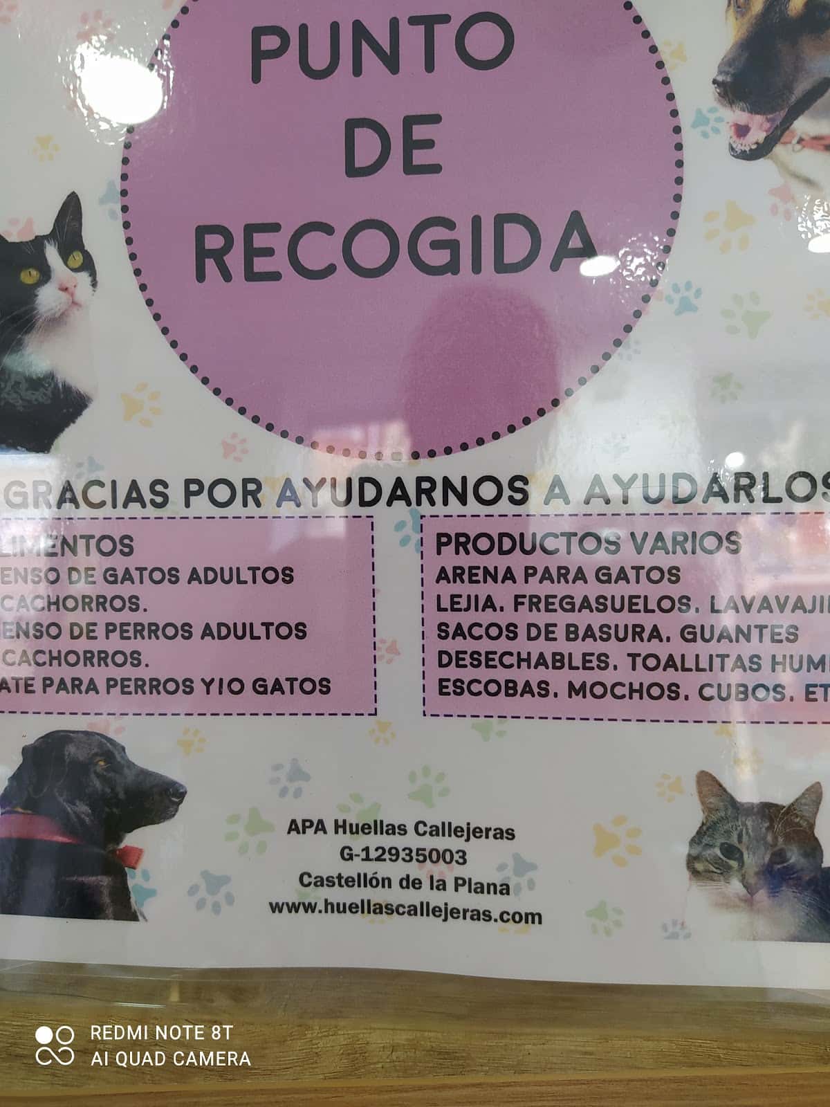 Consulta Veterinaria Bitxets