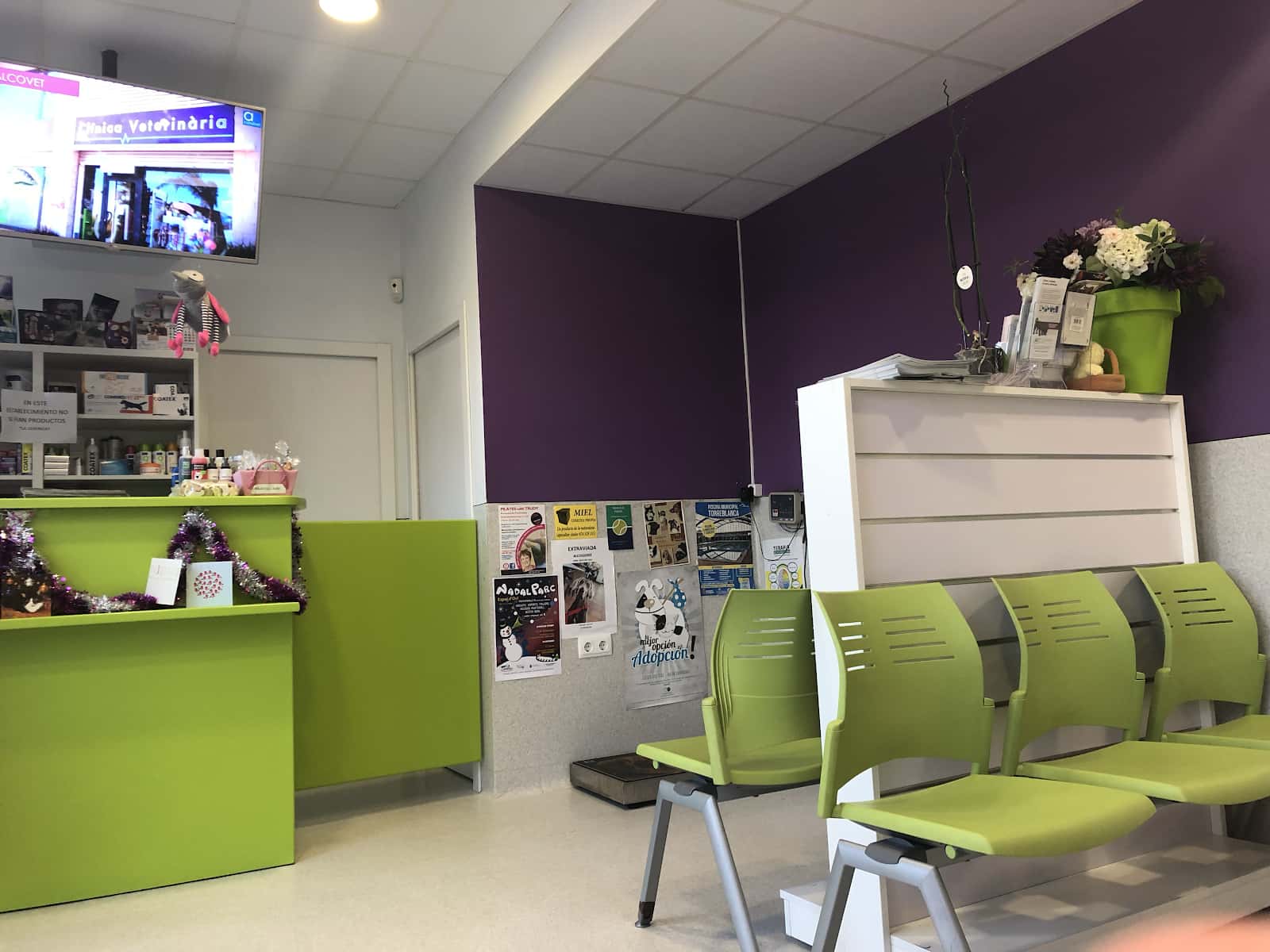 alcovet clinica veterinaria alcossebre veterinario clinica en alcossebre en castello principalImage ADOPTA Sitios Pet Friendly