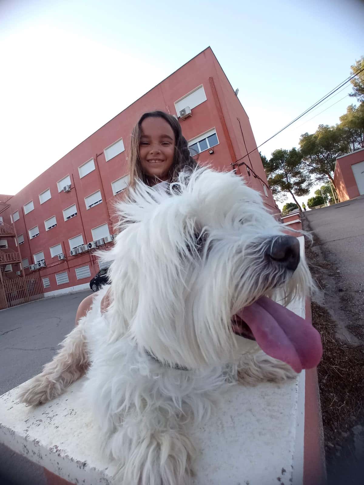 Vitalveterinaria
