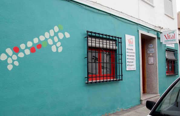 vitalveterinaria veterinario centro en alcazar de san juan en ciudad real principalImage ADOPTA Sitios Pet Friendly