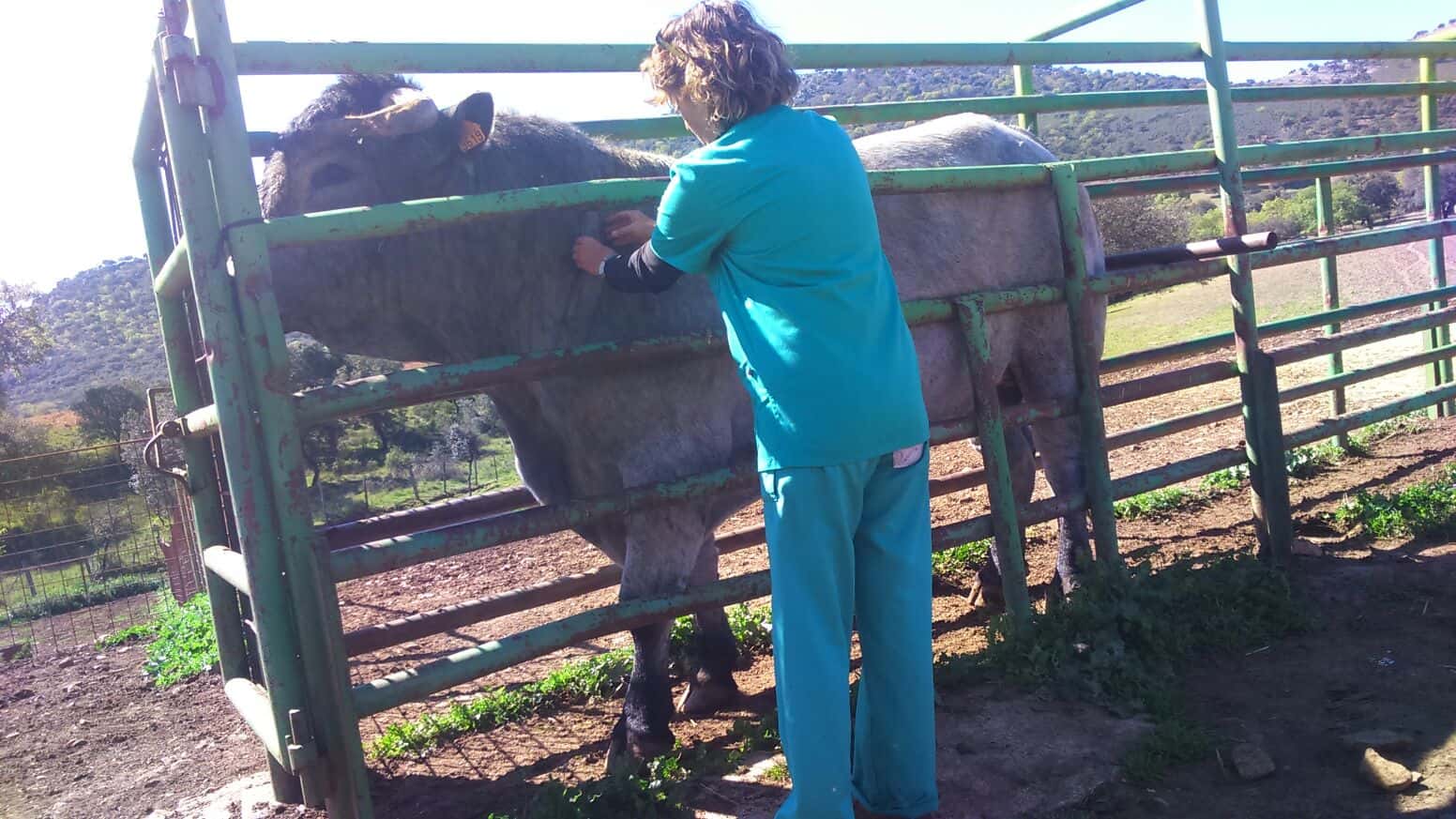 Consultorio Veterinario Maruxa Sánchez Trenado