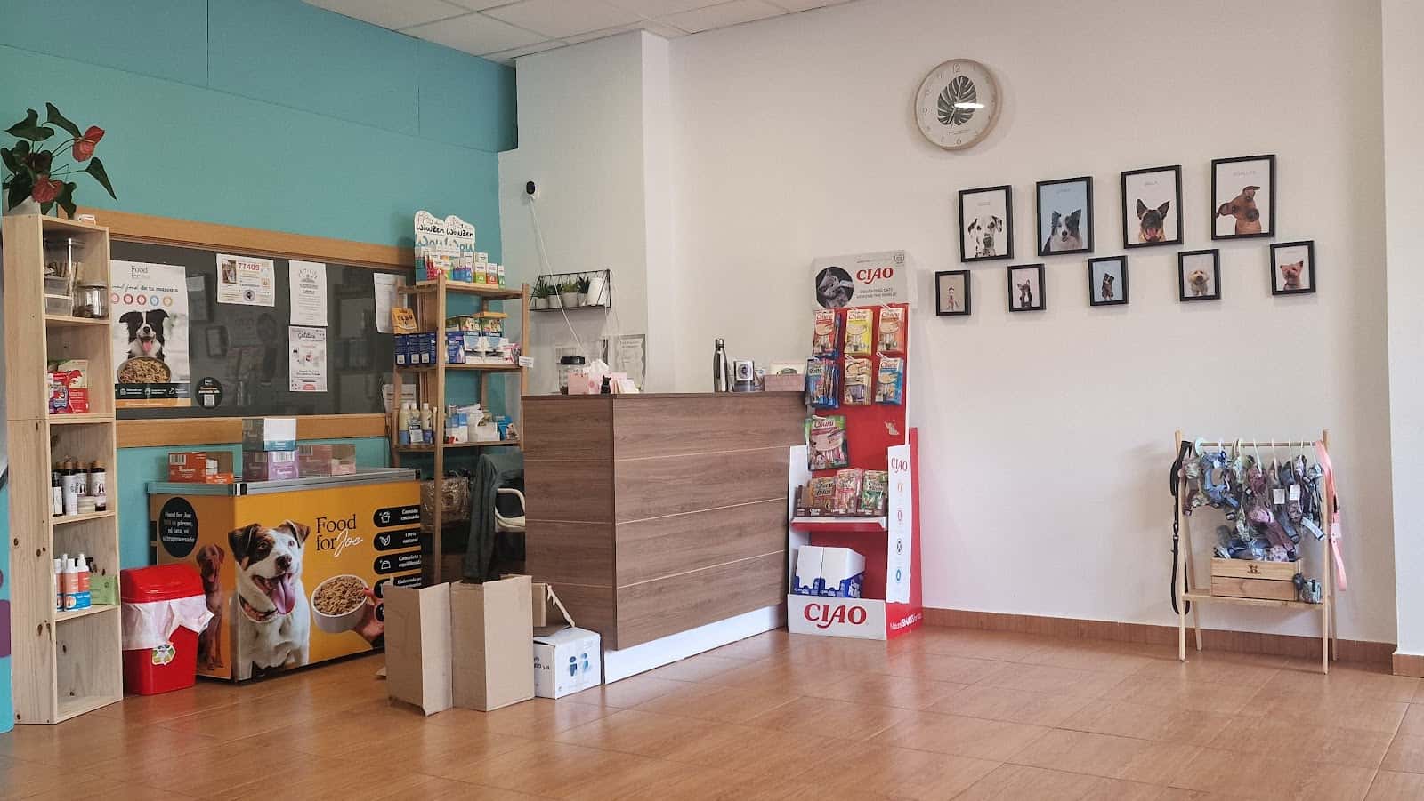 centro veterinario elena mendoza veterinario centro en villafranca de los caballeros en toledo principalImage ADOPTA Sitios Pet Friendly