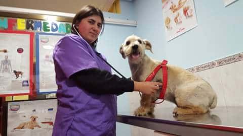 Clínica Veterinaria Almodovar