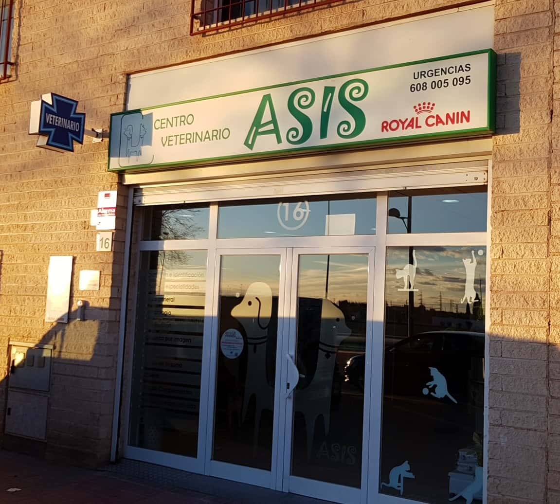 centro veterinario asis veterinario centro en alcazar de san juan en ciudad real principalImage ADOPTA Sitios Pet Friendly