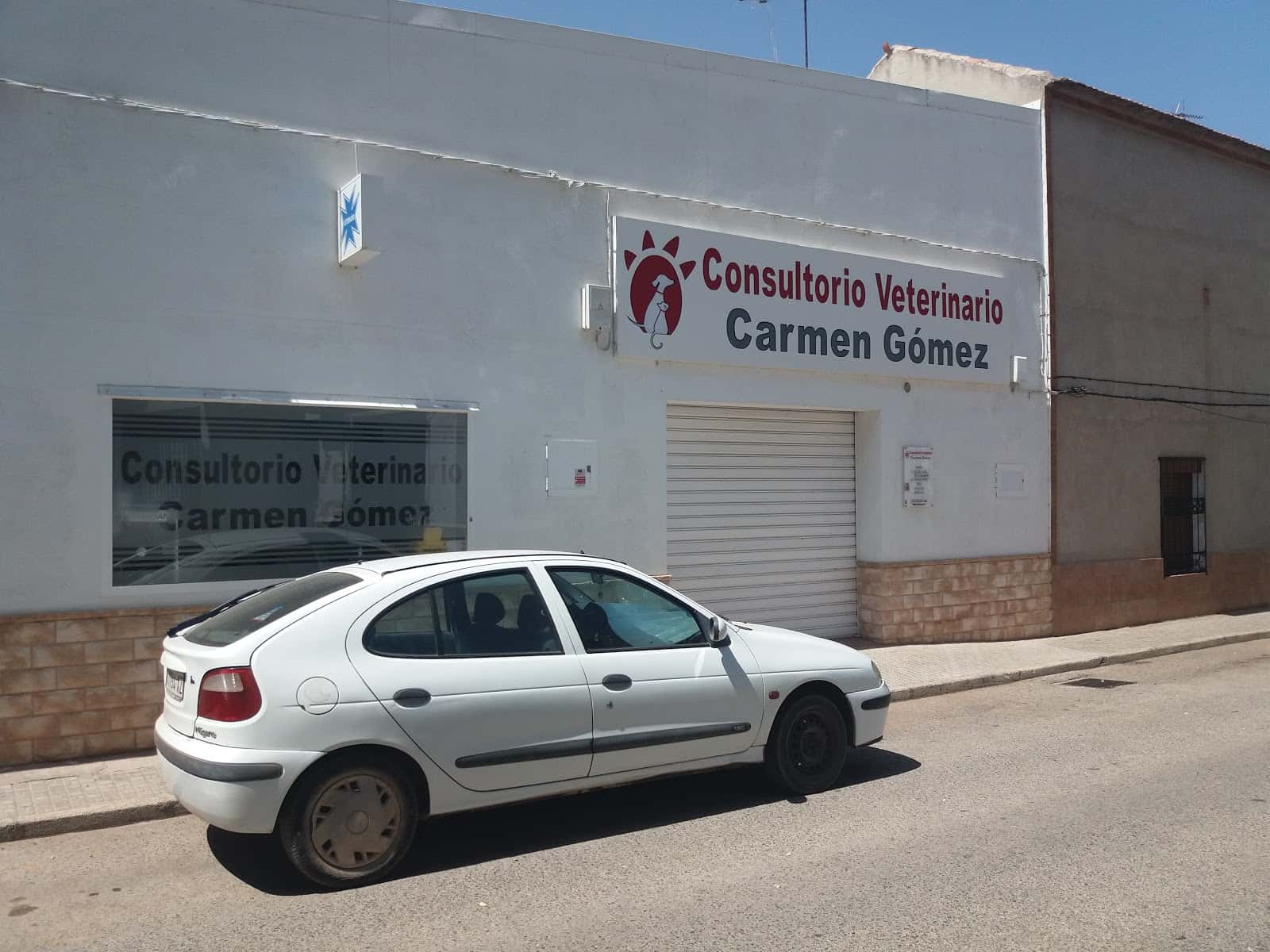 clinica veterinaria carmen gomez veterinario clinica en bolanos de calatrava en ciudad real principalImage ADOPTA Sitios Pet Friendly