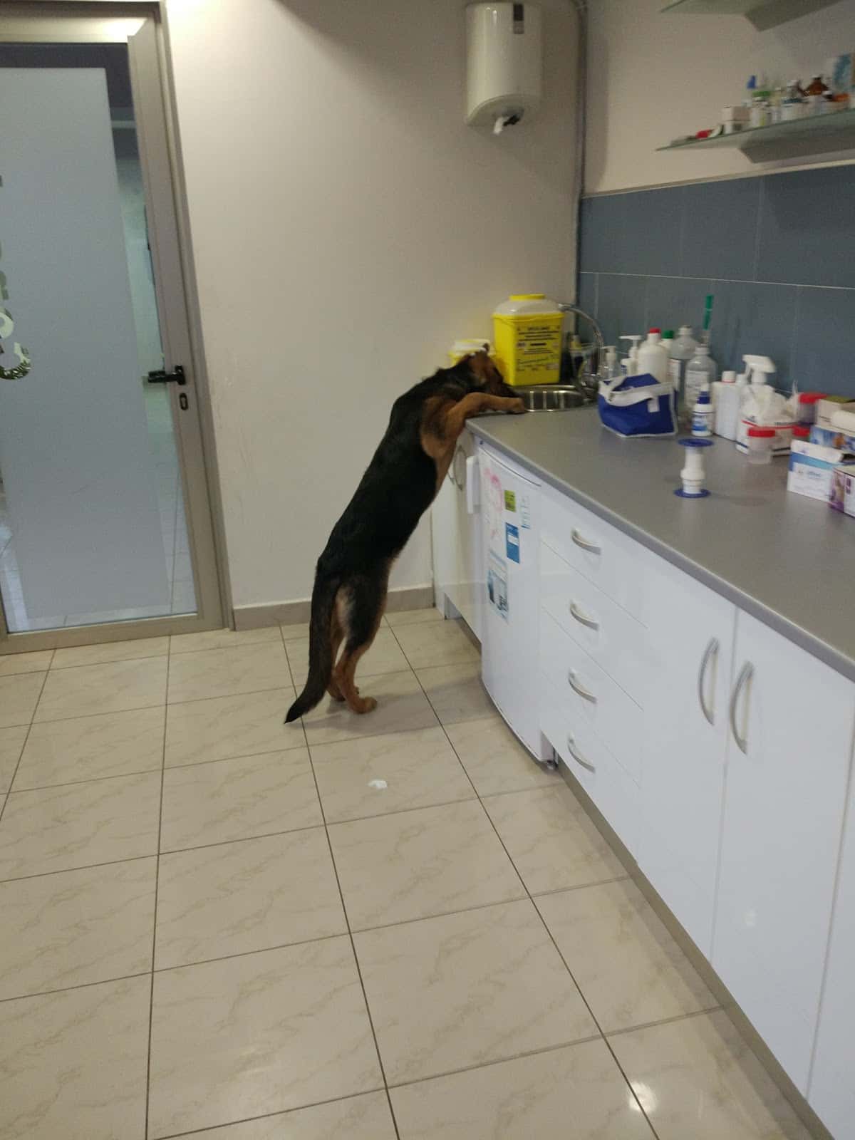 Clínica Veterinaria Almagro