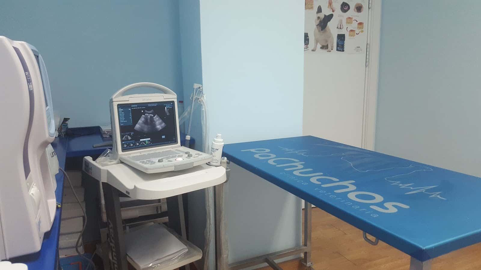 pachuchos clinica veterinaria veterinario clinica en daimiel en ciudad real principalImage ADOPTA Sitios Pet Friendly
