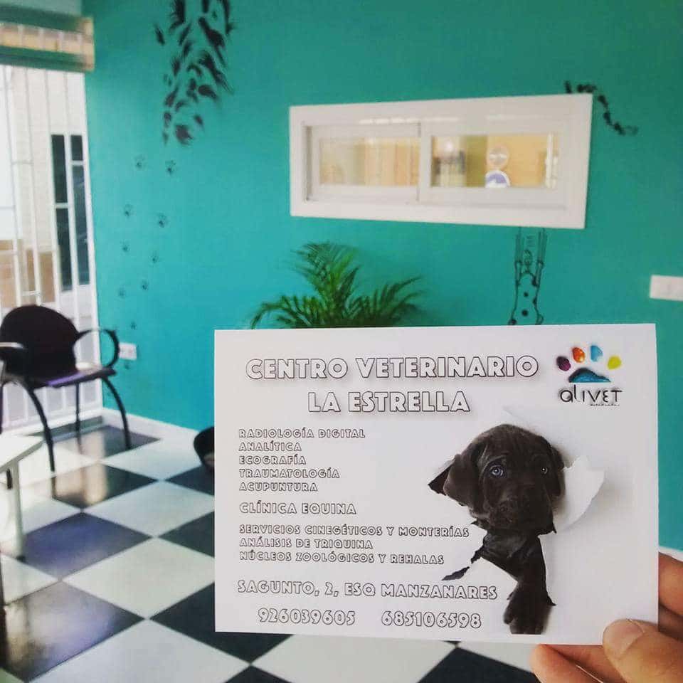 CENTRO VETERINARIO LA ESTRELLA-Daimiel