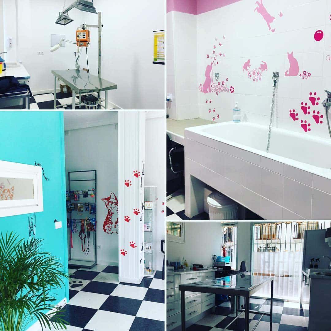 centro veterinario la estrella daimiel veterinario centro en daimiel en ciudad real principalImage ADOPTA Sitios Pet Friendly