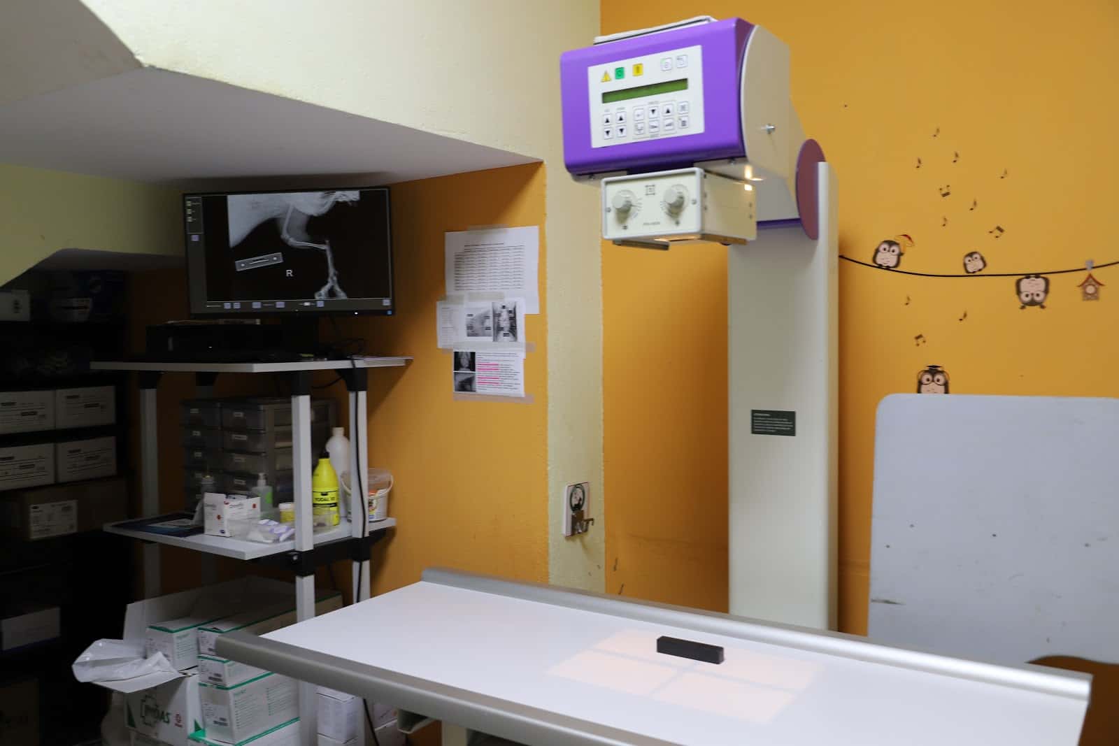 Clinica Veterinaria Jara