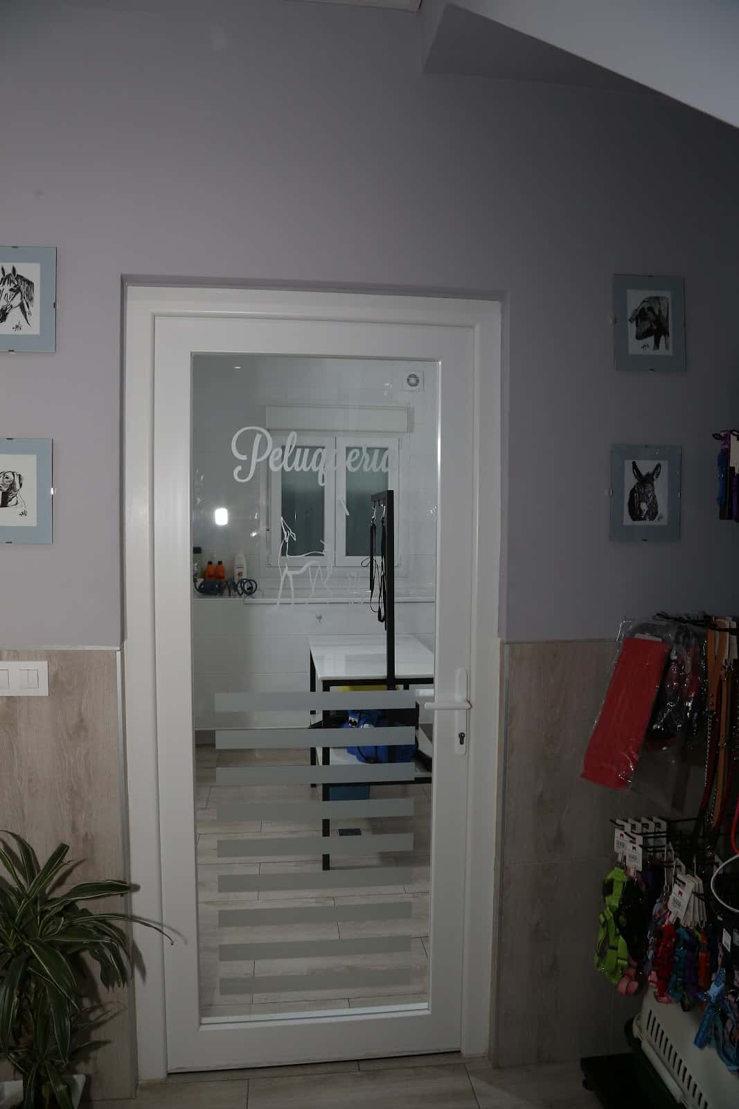 Consultorio Veterinario Toñi