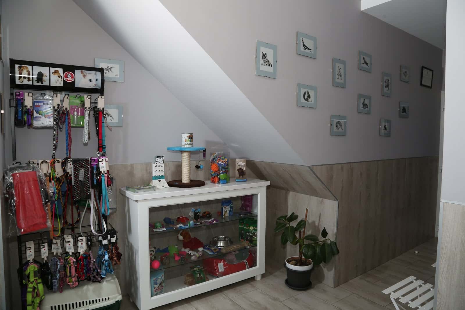 Consultorio Veterinario Toñi