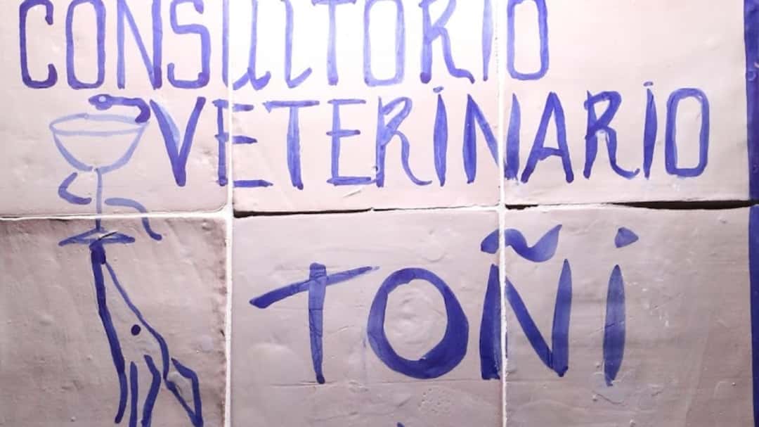 consultorio veterinario toni veterinario centro en villanueva de cordoba en cordoba principalImage ADOPTA Sitios Pet Friendly