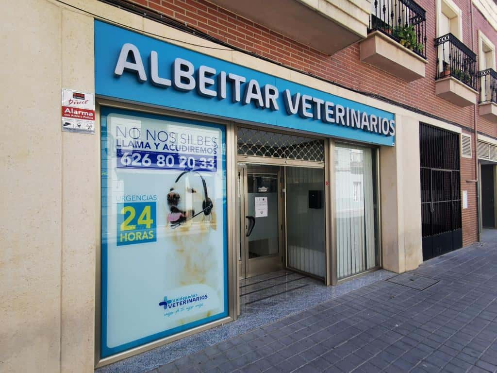 albeitar veterinarios veterinario centro en manzanares en ciudad real principalImage ADOPTA Sitios Pet Friendly