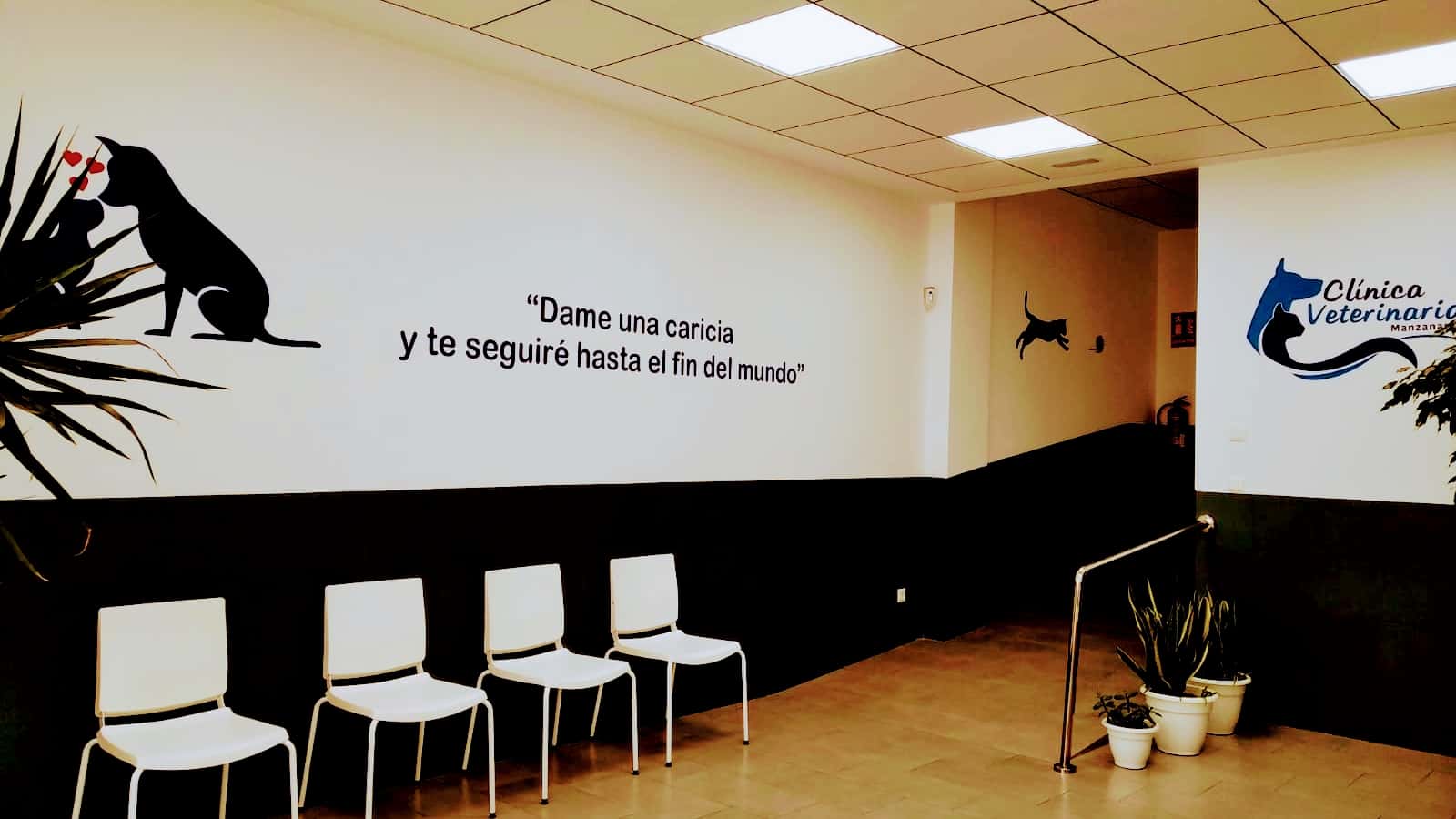 clinica veterinaria manzanares veterinario clinica en manzanares en ciudad real principalImage ADOPTA Sitios Pet Friendly