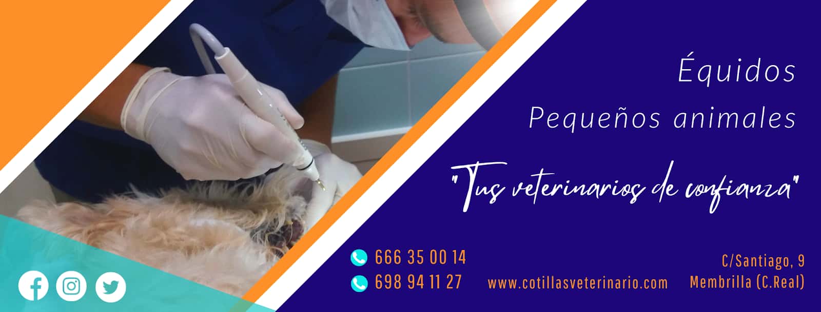 Cotillas Veterinarios