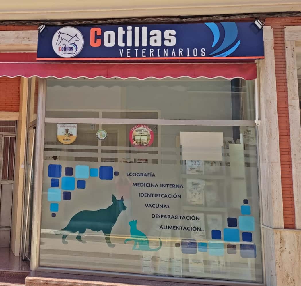 cotillas veterinarios veterinario centro en membrilla en ciudad real principalImage ADOPTA Sitios Pet Friendly