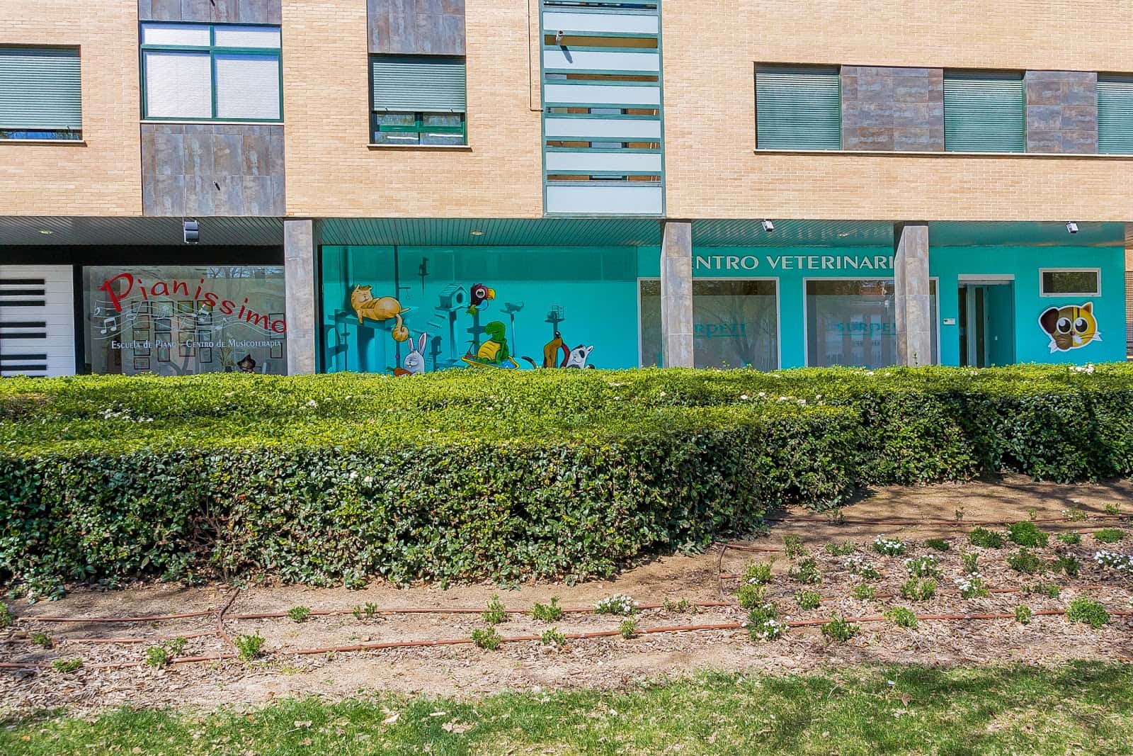 centro veterinario surpett veterinario centro barrio ciudad real en ciudad real en ciudad real principalImage ADOPTA Sitios Pet Friendly