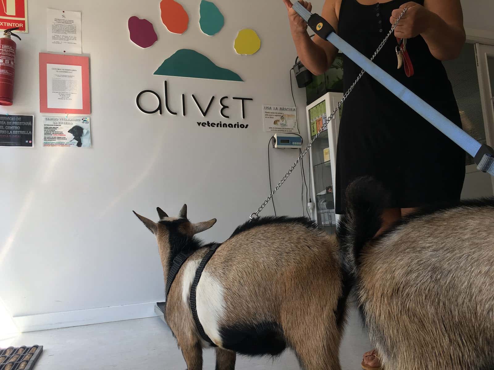 Centro Veterinario La Estrella (Alivet Veterinarios)