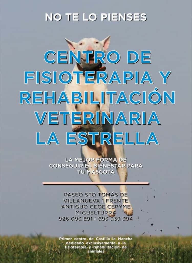 centro veterinario la estrella  alivet veterinarios  veterinario centro en miguelturra en ciudad real principalImage ADOPTA Sitios Pet Friendly