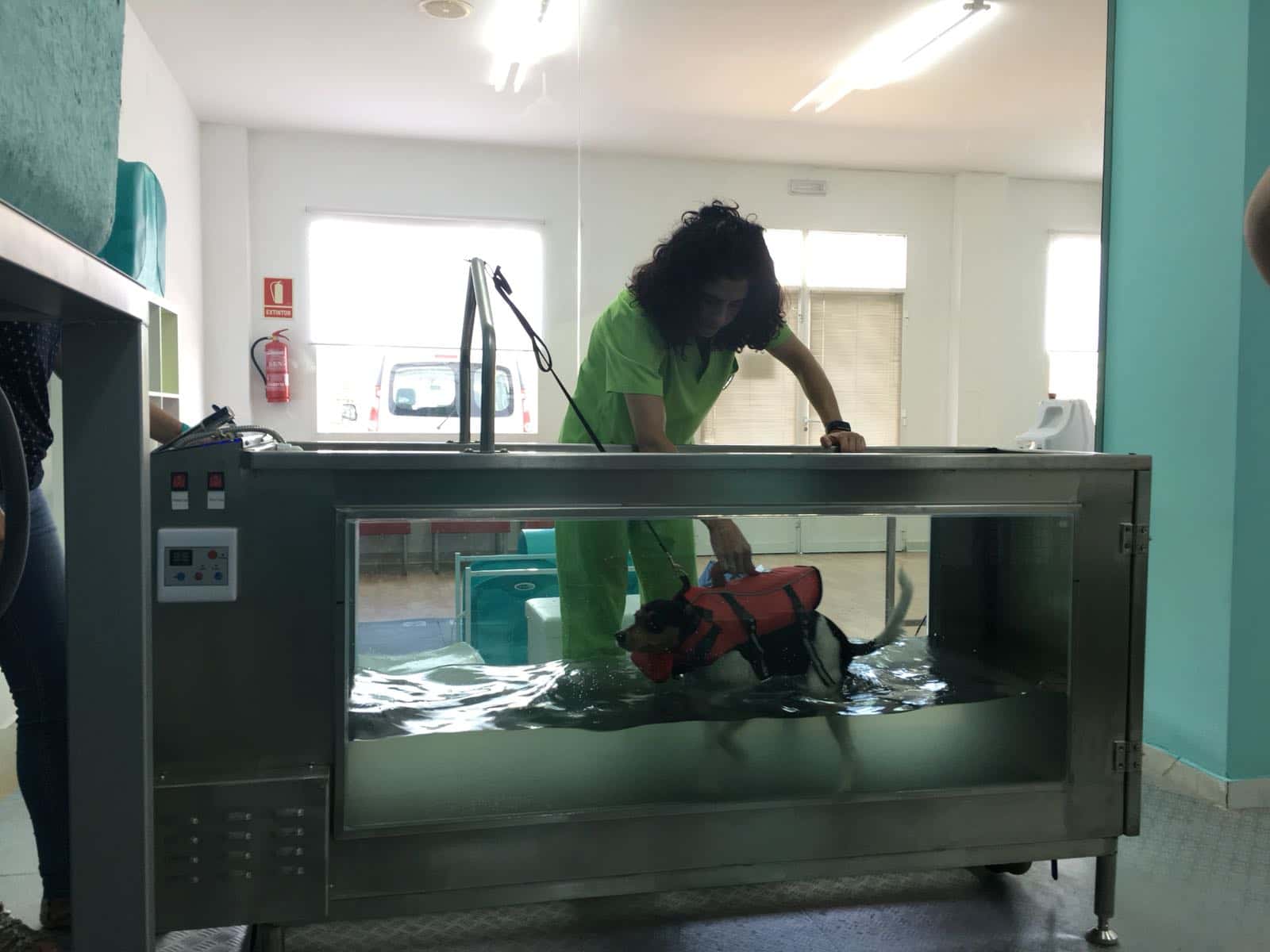 Centro Veterinario de Fisioterapia y Rehabilitación animal "La Estrella"
