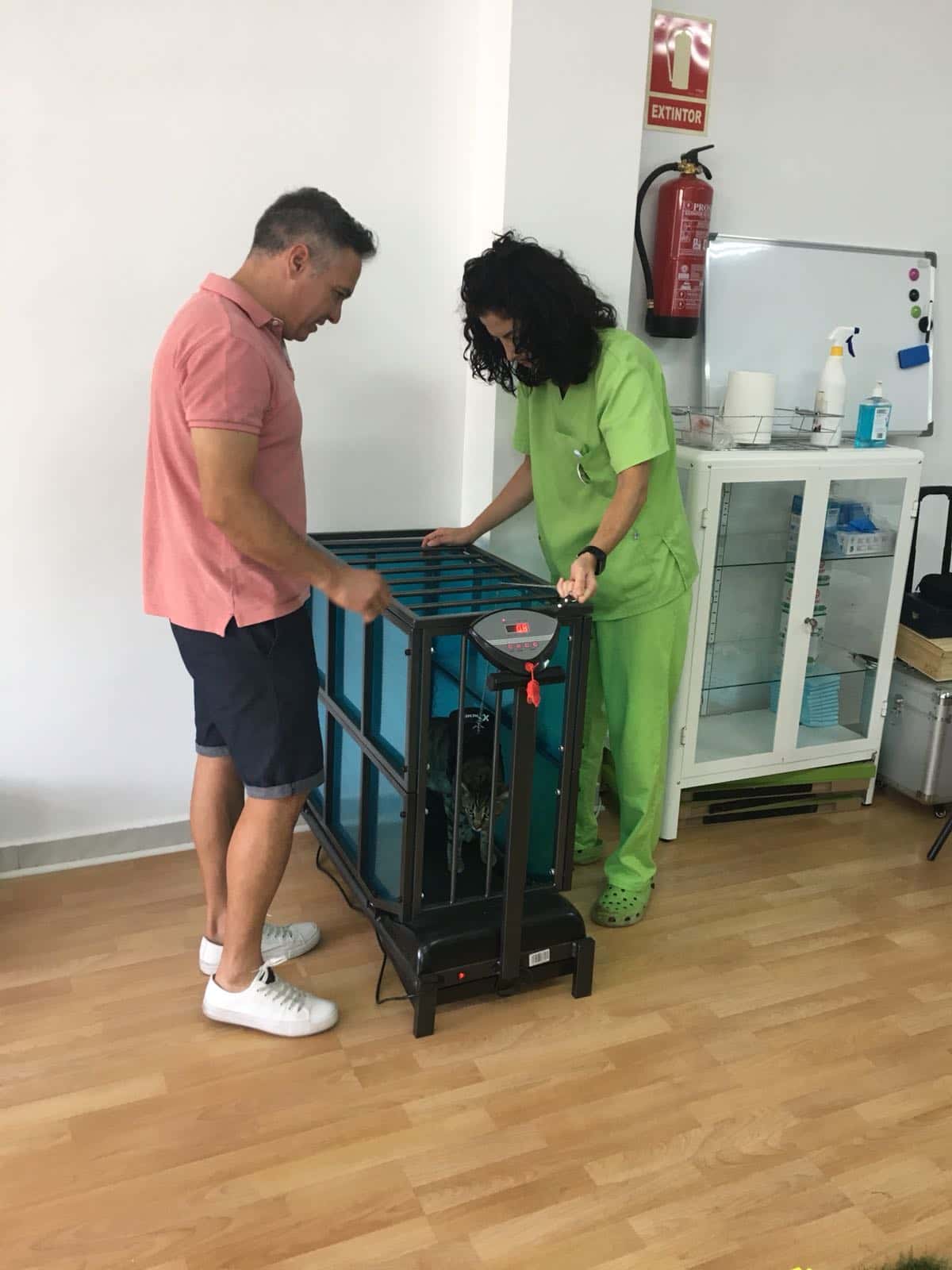Centro Veterinario de Fisioterapia y Rehabilitación animal "La Estrella"