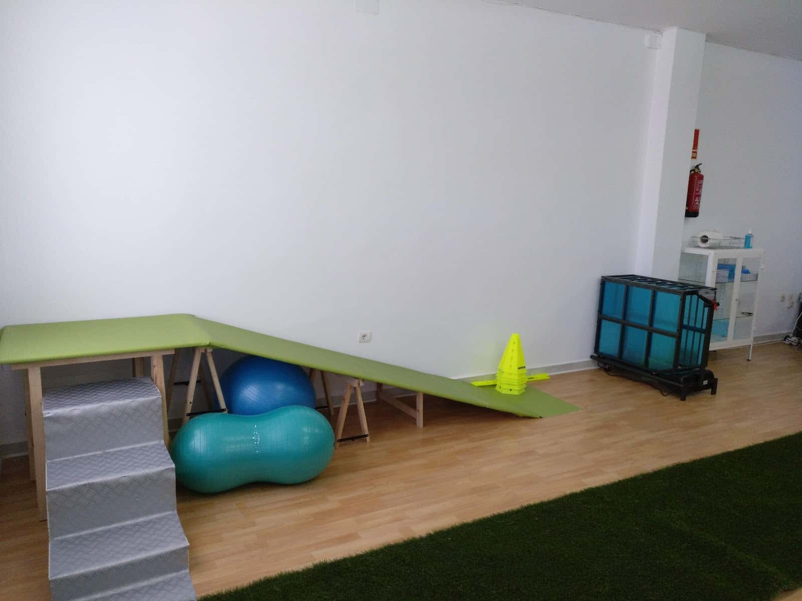 centro veterinario de fisioterapia y rehabilitacion animal  la estrella  veterinario centro barrio ciudad real en ciudad real en ciudad real principalImage ADOPTA Sitios Pet Friendly