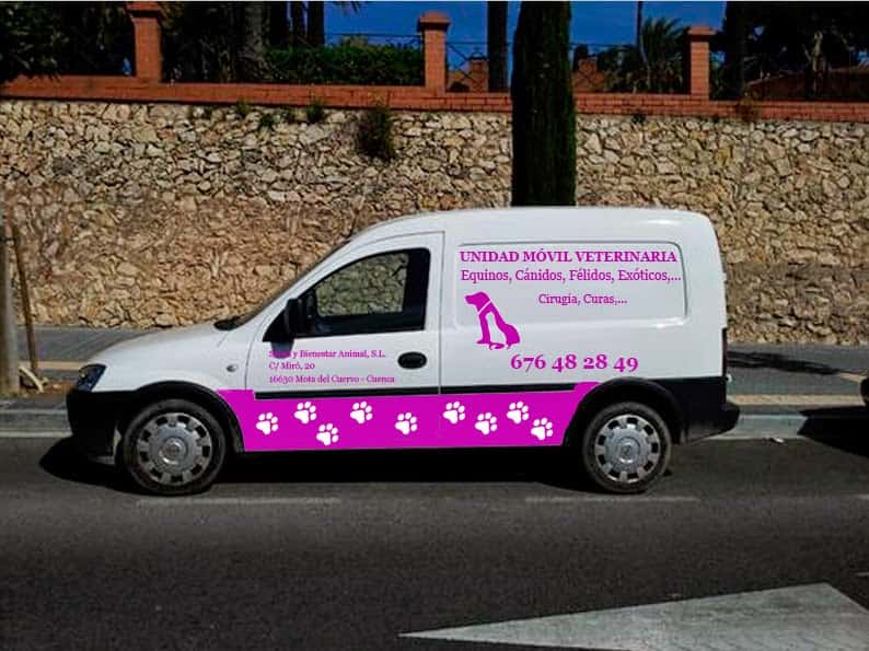 clinica veterinaria mota veterinario clinica en mota del cuervo en cuenca principalImage ADOPTA Sitios Pet Friendly