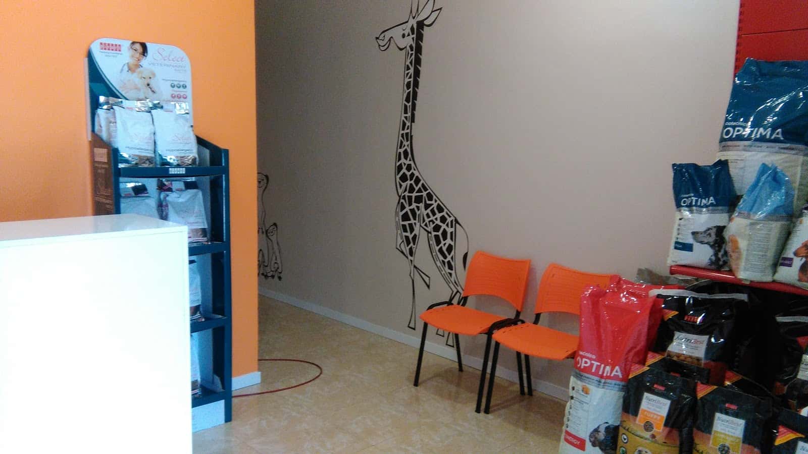 clinica veterinaria