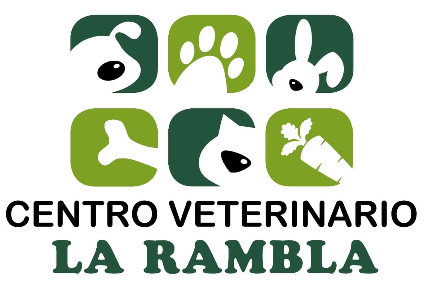 centro veterinario la rambla veterinario centro en la rambla en cordoba principalImage ADOPTA Sitios Pet Friendly