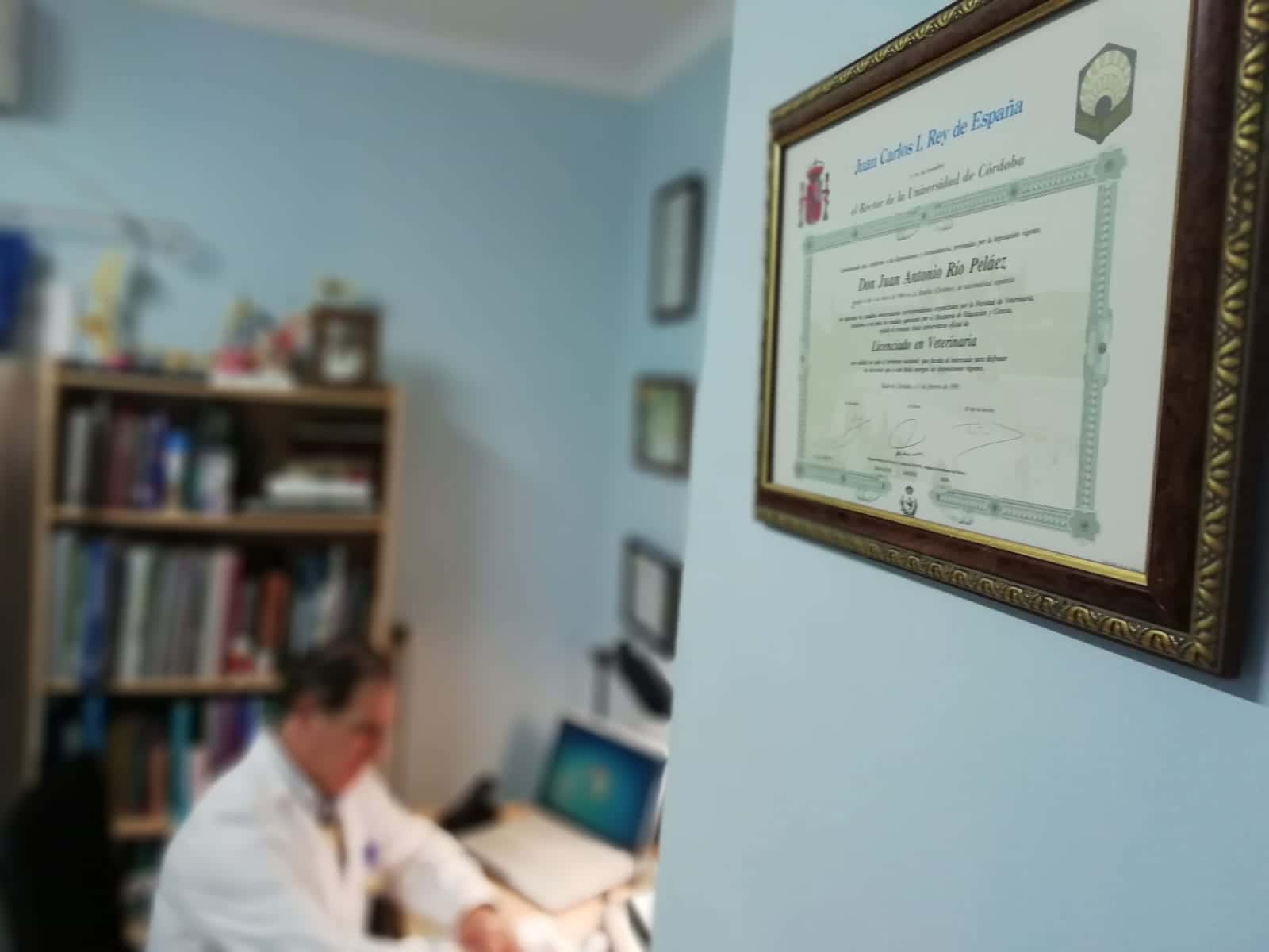 Clínica Veterinaria Juan Antonio Del Río Peláez