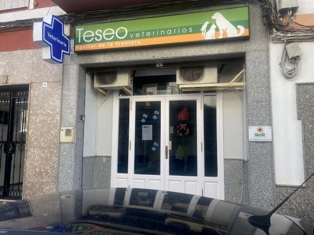 teseo veterinarios aguilar de la frontera veterinario centro en aguilar de la frontera en cordoba principalImage ADOPTA Sitios Pet Friendly