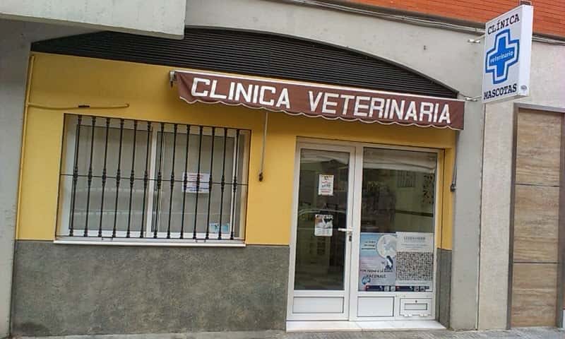clinica veterinaria montilla mascotas veterinario clinica en montilla en cordoba principalImage ADOPTA Sitios Pet Friendly
