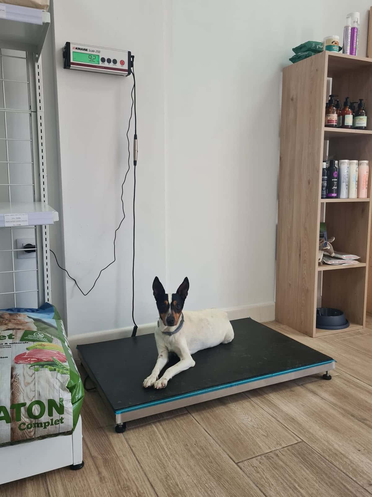 Clínica Veterinaria Vetalya