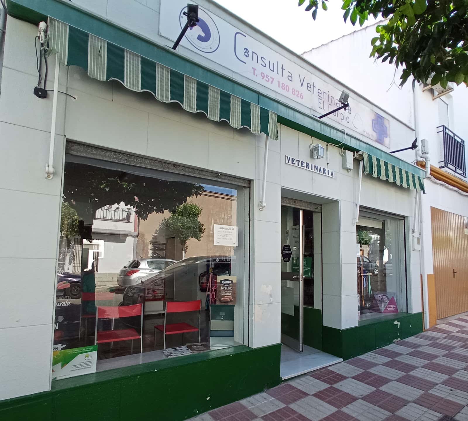 Consulta Veterinaria El Carpio